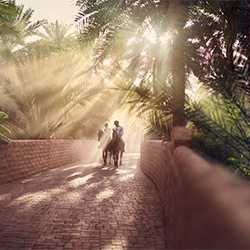 Abu Dhabi Tourism-Paul ross Jones-bronze-ADVERTISING-Other -2581