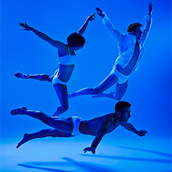 Dance Fest-Jerry Metellus-finalist-PEOPLE-Other -3029