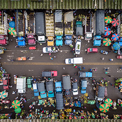 Market-Alex Visbal-bronze-NATURE-Aerial -3208