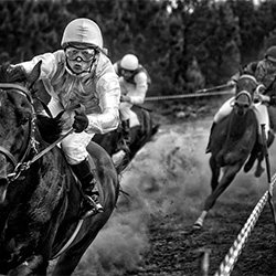 Winning Horse-Adolfo Enriquez-finalist-EDITORIAL-Sports -3442