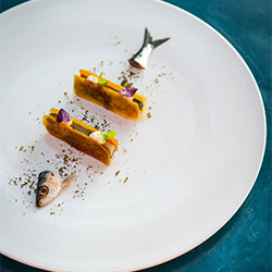 fish plate-Theodosis georgiadis-finalist-ADVERTISING-Food -3618