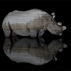 A black rhino in the water at night-Ranjan Ramchandani-bronze-SPECIAL-Night Photography -3332