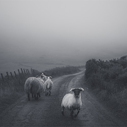 Encounter-Kati Saari-finalist-FINE ART-Landscape -3701