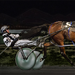 Stewart_the Pacer.jpg-Kerri-Jo Stewart-finalist-EDITORIAL-Sports -3687