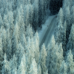 Finnish Winter-Teemu Kalliolahti-finalist-NATURE-Landscapes -3587