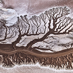 River roots-Stas Bartnikas-silver-FINE ART-Landscape -4525