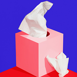 Tissue Box-Ilka Franz-finalist-FINE ART-Still Life -4113
