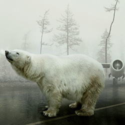 Bear With Me-Martin Stranka-bronze-FINE ART-Other -3939