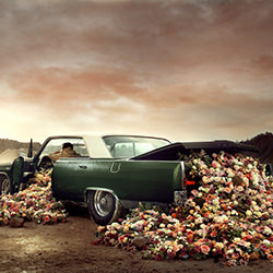 I Bloom For You-Martin Stranka-bronze-FINE ART-Other -3940