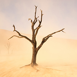 Sossusvlei Sandstorm-Graham Macfarlane-finalist-NATURE-Landscapes -4201