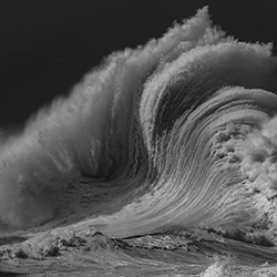 Rupture-Rodd Owen-silver-NATURE-Landscapes -4536