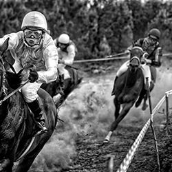 Winner horse-Adolfo Enriquez-silver-SPORTS-Field Sports-4505