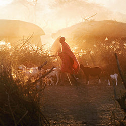 A Massai herder at dusk.Kenya.-Philip Lee Harvey-finalist-EDITORIAL-Travel-4323