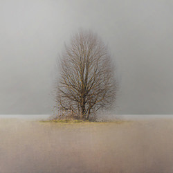 There is a tree behind my town-Vlado Vidra-finalist-NATURE-Trees -4275