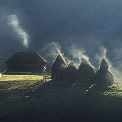 Mountain life-Genadi Dochev-finalist-NATURE-Landscapes -4362
