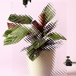 Distortion-Dan Matthews-finalist-ADVERTISING-Self-Promotion -4367