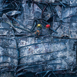 In the search for survivors-Marvin Del Cid-bronze-EDITORIAL-News -3986