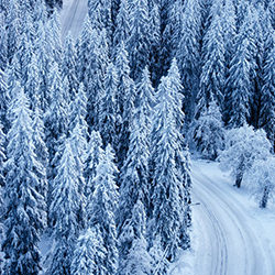 Winter Road-Teemu Kalliolahti-bronze-NATURE-Landscapes -4075