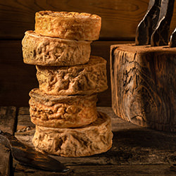 Art Of Cheese-Jan Kalish-finaliste-PUBLICITÉ-Alimentation -4439