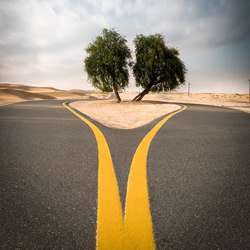 We Part Ways-George Durzi-bronze-NATURE-Trees -4707
