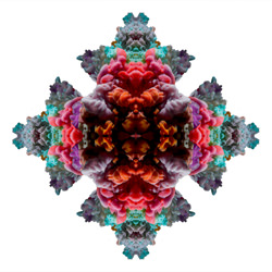 Kaleidoscope-Joseba Barriola-finalist-FINE ART-Abstract -4840