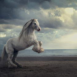 Beauty of horses-Johanna Sjovall-bronze-NATURE-Other -4779