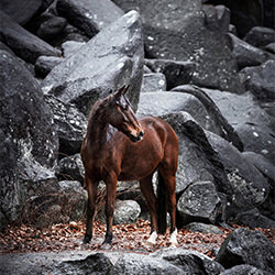 Rocks-Lena Meder-finalist-NATURE-Other -5476