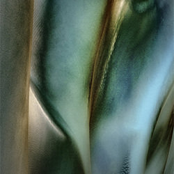 Lily-Marek Boguszak-finalist-FINE ART-Abstract -5496