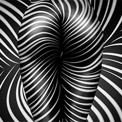 zebra nude art-Kristian Liebrand-bronze-FINE ART-Nudes -5205