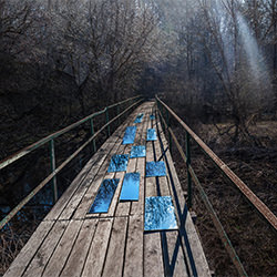 Oasis. Permeation-Galina Agafonova-finalist-NATURE-Landscapes -5595