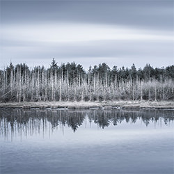 Winter-Stephen Hayes-finalist-FINE ART-Landscape -5553