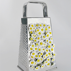 Corona Botanics-Marta Wapiennik-finalist-FINE ART-Still Life -5615