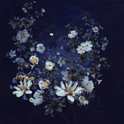 Love of Nature-Magdalena Collins-finaliste-FINE ART-Collage -6114
