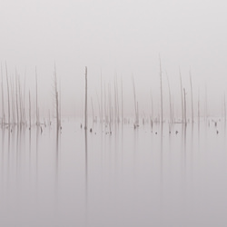 Matchsticks-Alain Baburam-bronze-NATURE-Landscapes -5928