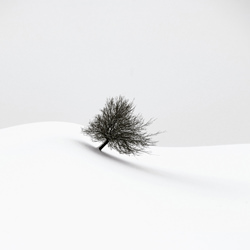 Stiller Winter-Renate Wasinger-Bronze-NATUR-Bäume -6017