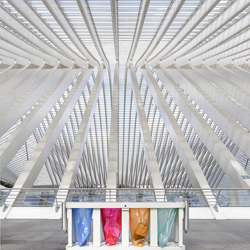 Calatrava lineas-Alex Polli-finalista-ARQUITECTURA-Interiores-6315