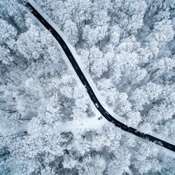 Street through the winter forest-Eberhard Ehmke-finalist-FINE ART-Landscape -6333