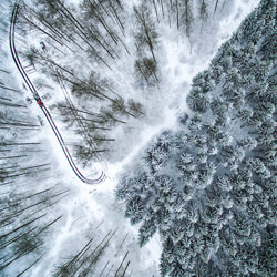 Winter forest idyll-Eberhard Ehmke-finalist-NATURE-Seasons -6335