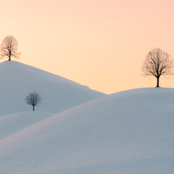 Colors of Winter-Ewa Jermakowicz-finalist-NATURE-Landscapes -6342