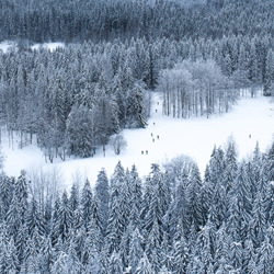 Winter Activities-Teemu Kalliolahti-finalist-NATURE-Seasons -6221