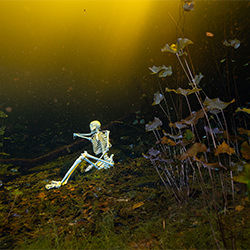 Humans waiting for Global Warming Solutions-Naiara Altuna-bronze-NATURE-Underwater -6543