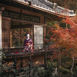 Maiko of Kyoto-Jatenipat JKboy Ketpradit-silver-PEOPLE-Culture -7035