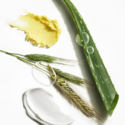 Body Butter Ingredients-Rich Begany-finalist-ADVERTISING-Product / Still Life-6732