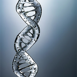 ADN líquido-Krzysztof Czernecki-bronce-BELLAS ARTES-Otros -6590