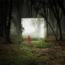 Through the Mirror-Betina Samaia-silver-FINE ART-Collage -7128