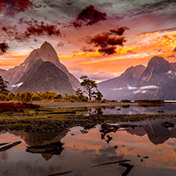 Dawn at Milford Sound-Stue Rees-bronze-NATURE-Landscapes -7226