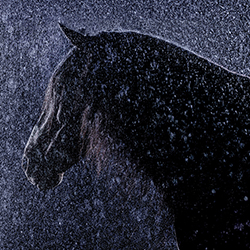 Mystery in the Rain-Victoria Machin-bronze-FINE ART-Other -7148