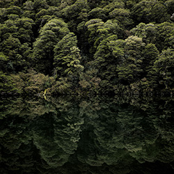 Lake Lochie-Stephan Romer-bronze-NATURE-Landscapes -7440