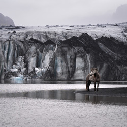 Glacier-Denise Strauch-silver-NATURE-Other -8829