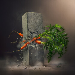 CONFLICT serie-Wesley Dombrecht-gold-FINE ART-Still Life -8738